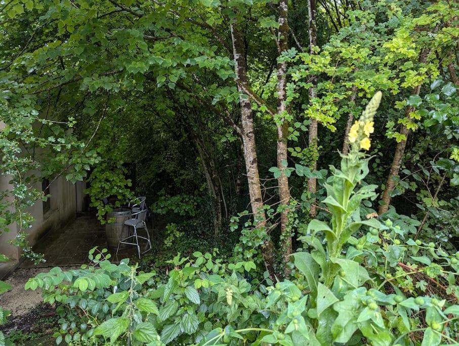 Gite Zen Dans Les Bois Blesignac Exterior foto